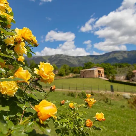 Tenuta Del Daino Alvito